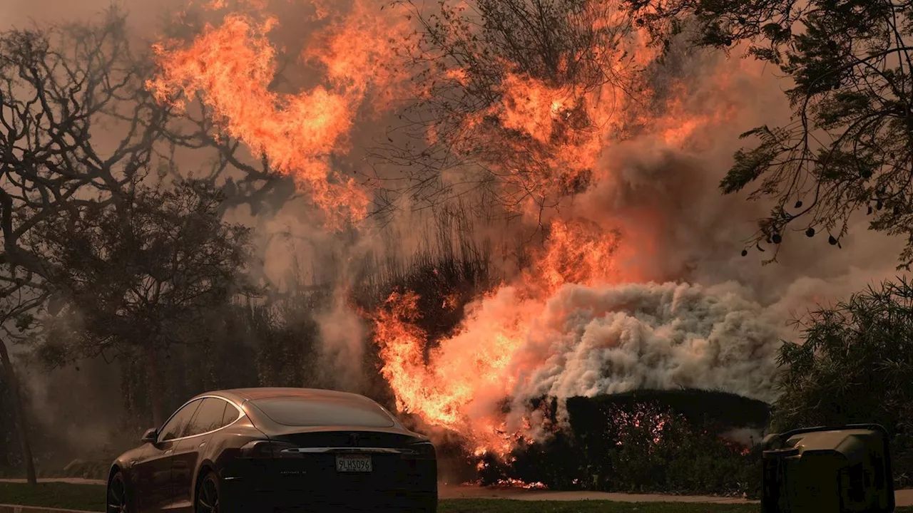 Großbrände in Los Angeles: Zerstörung und Todesopfer