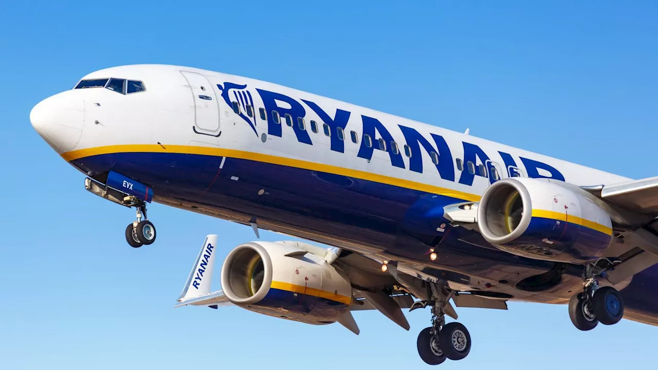 Ryanair will 15.000 Euro von pöbelndem Passagier einklagen