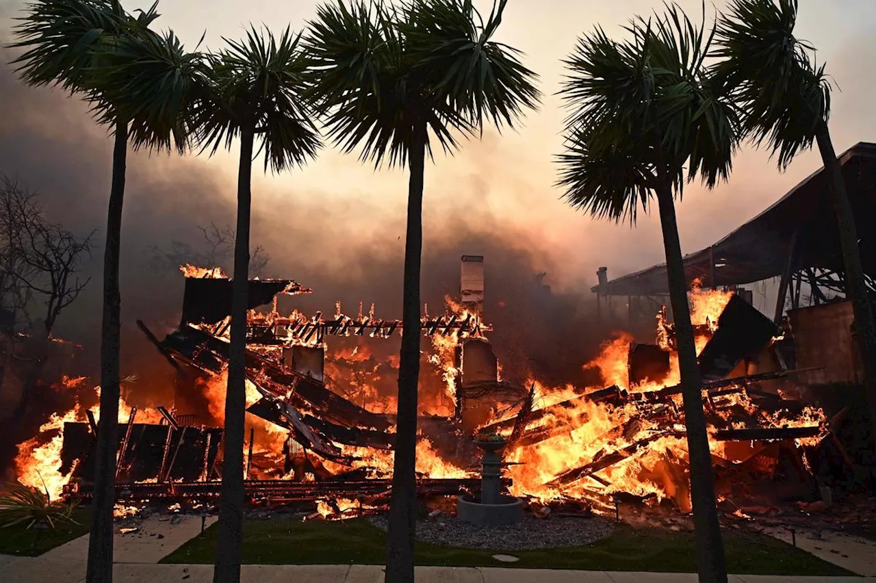 Incendies à Los Angeles : Plusieurs morts, 100 000 évacués et Hollywood menacé