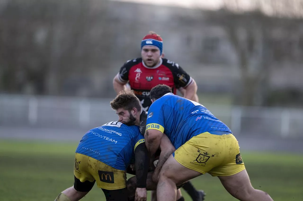 Rugby (Fédérale 2) : Rochefort en rodage chez le gros morceau tourangeau