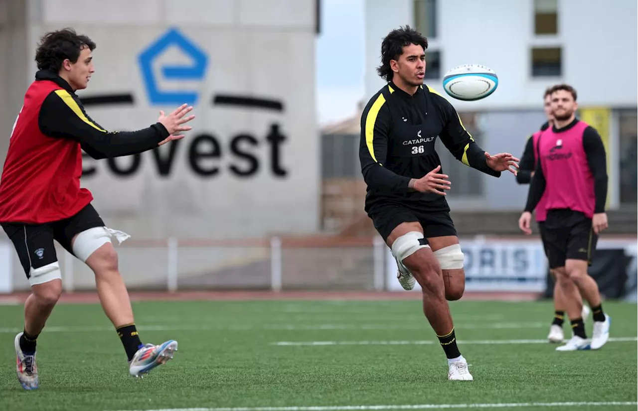 Stade Montois. Les recrues Dawai et Mataele sont arrivées : « Ils sont bien physiquement »