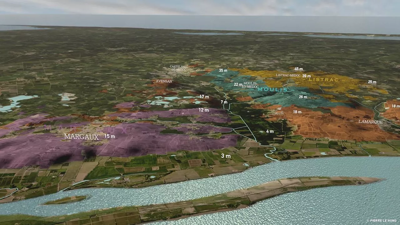 Vidéo. Viticulture : le plateau viticole du Médoc dévoilé en 3D