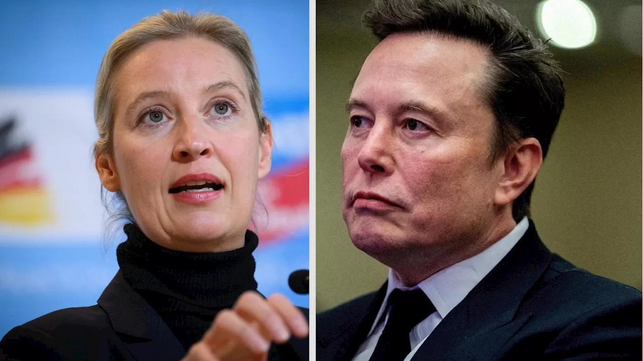 Musk und Weidel im kontroversen X-Gespräch