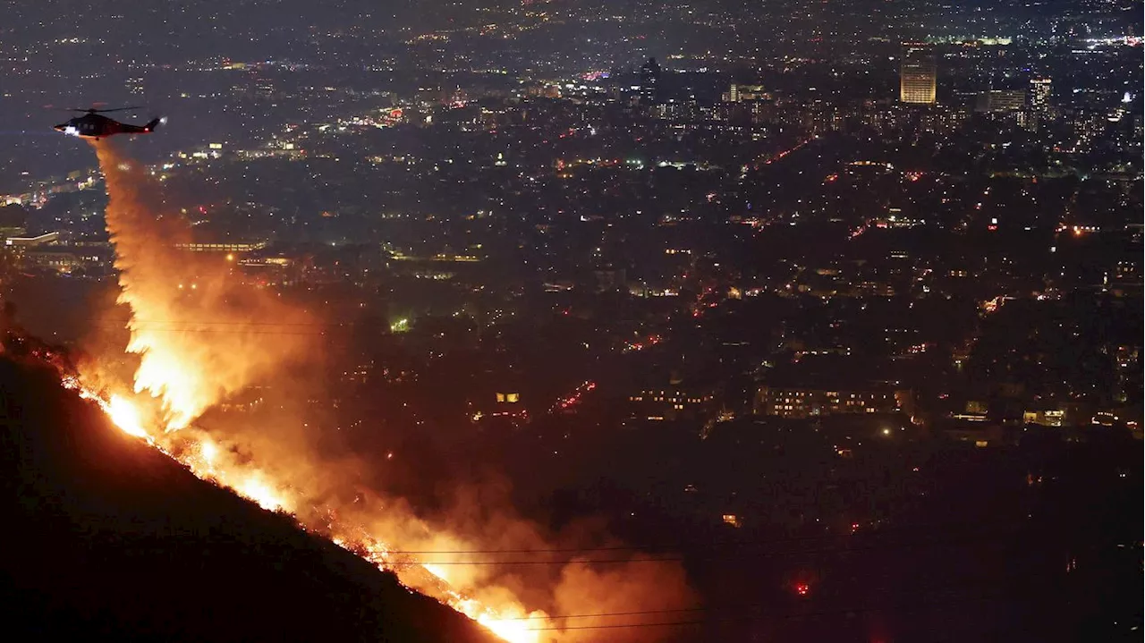 Waldbrände in Los Angeles: Evakuierungen und Todesopfer