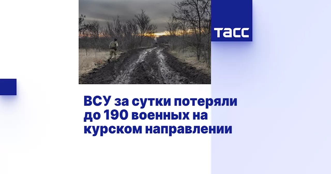 Минобороны РФ: ВСУ потеряли склад боеприпасов и более 190 военных на Курском направлении