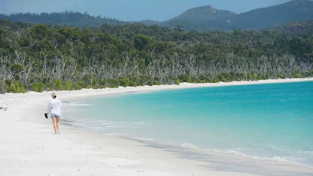 Pantai Whitehaven Australia Menduduki Peringkat Pertama Pantai Terbaik Dunia