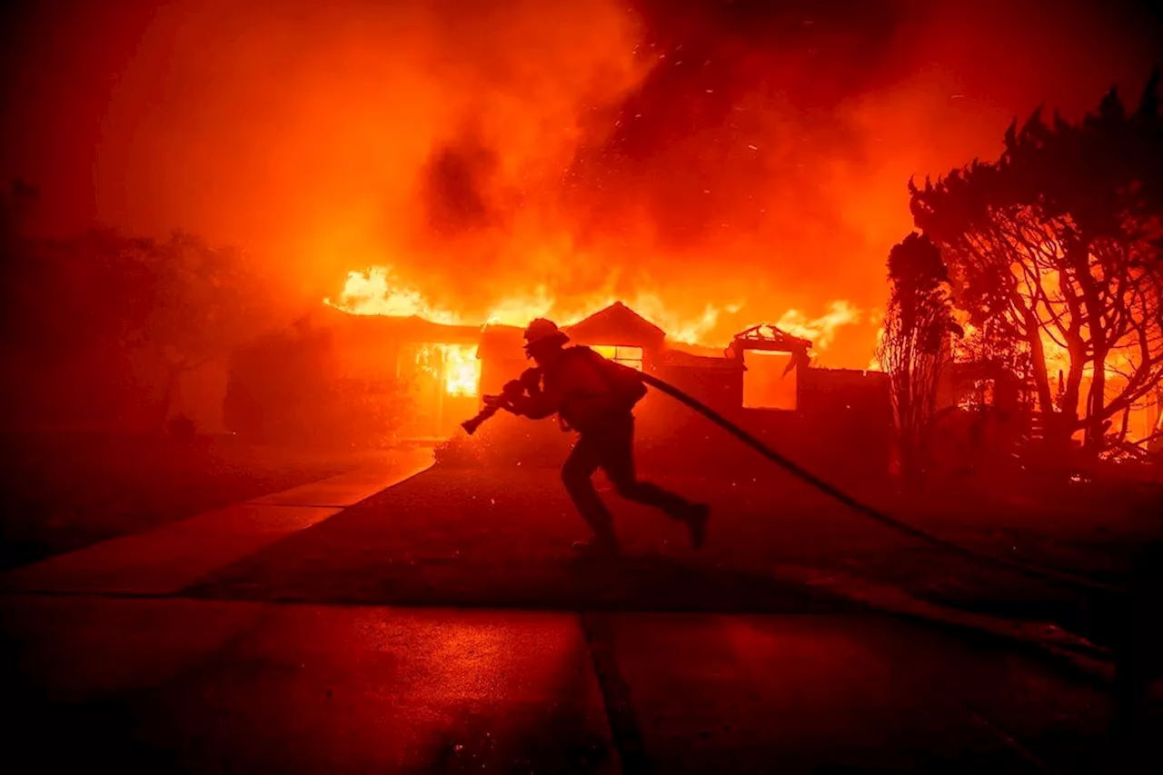 Canadian Pilots Battle Wildfires Ravaging Los Angeles