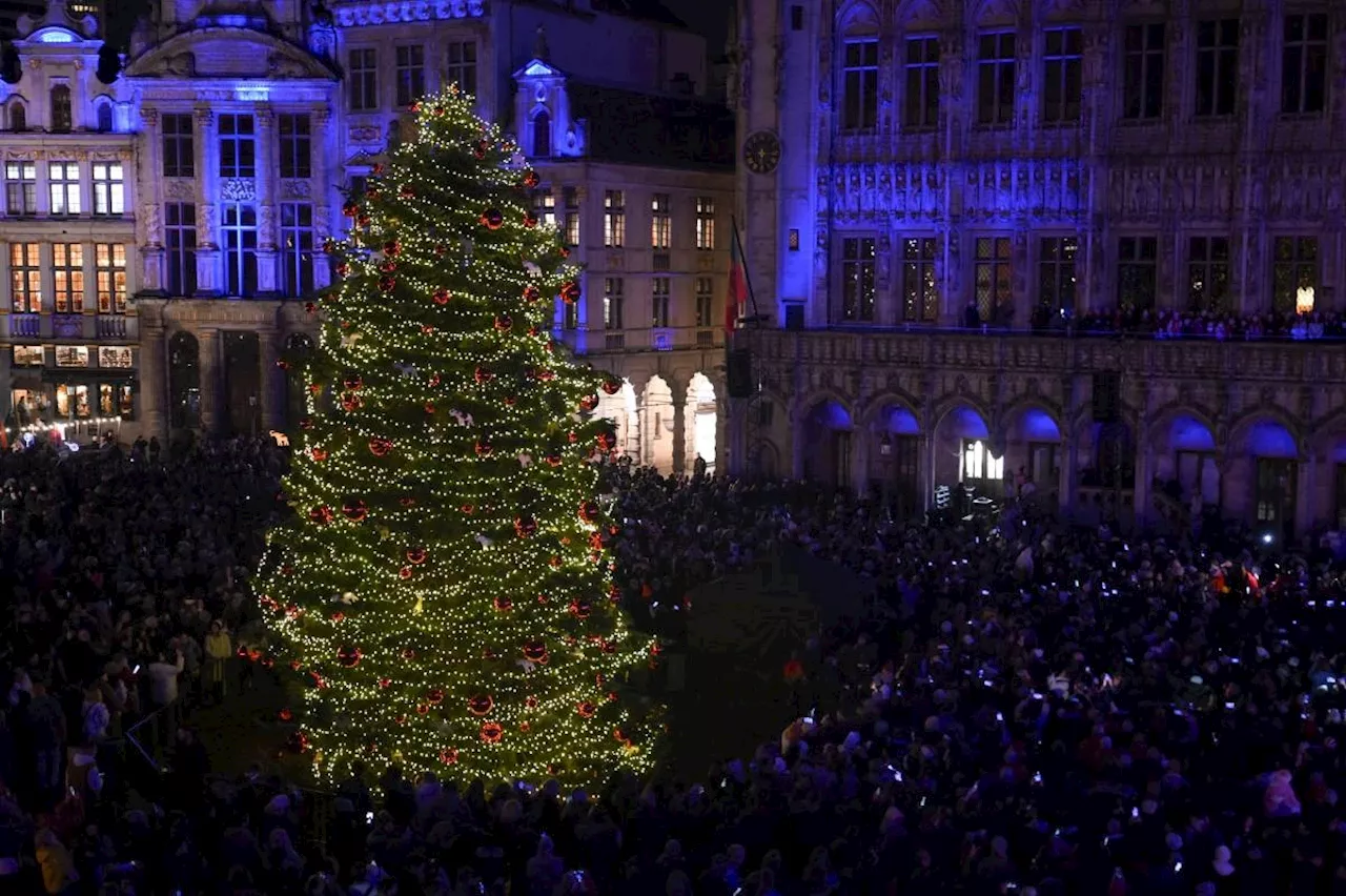 Swedish Officials Say Wild Christmas Tree Needles Can Be Used in Food