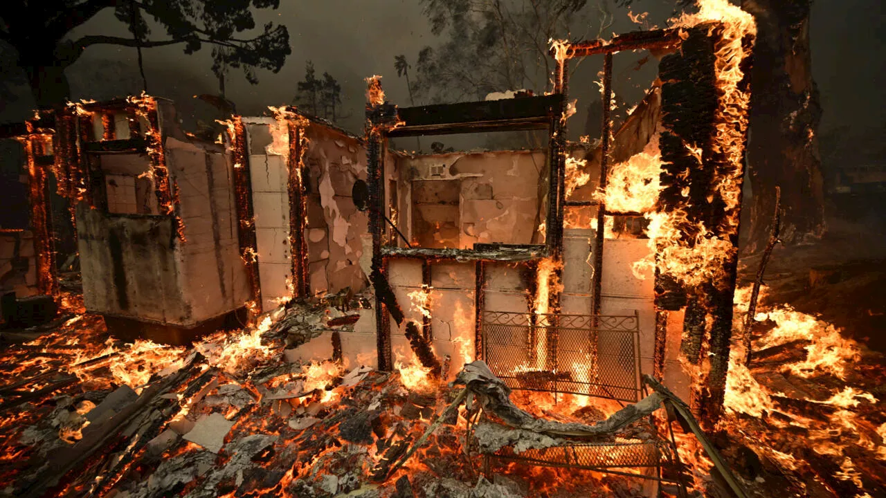 Devastation and Despair in Los Angeles Fires