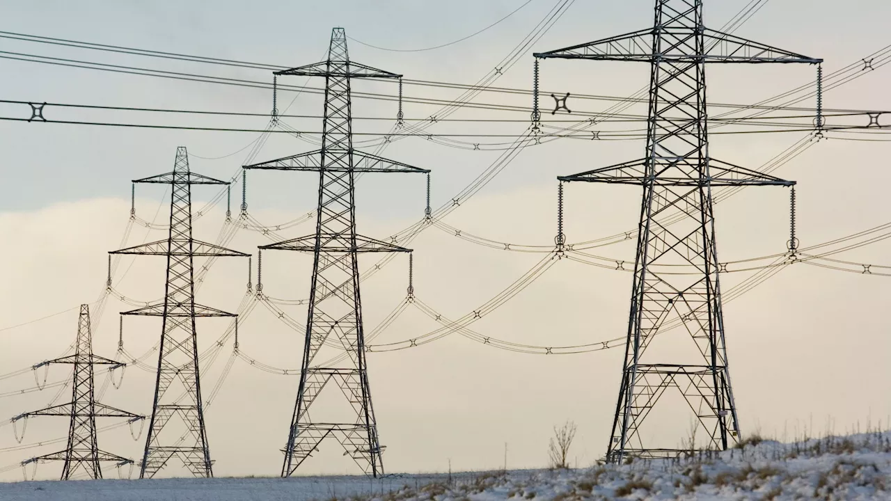 Blackout risk as energy supply warning issued during freezing temperatures as rush to net zero blamed ...