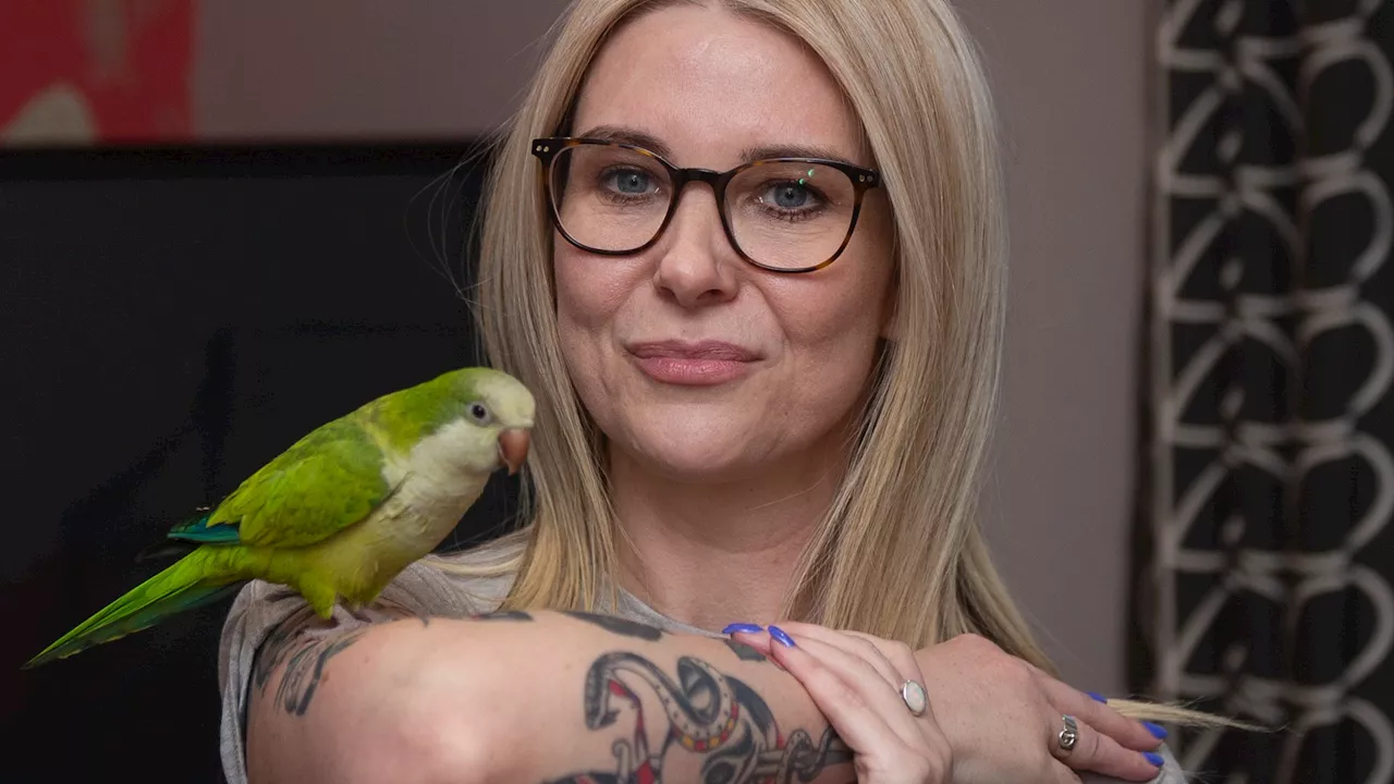 Parrot named Steve swoops into action and dive-bombs burglar raiding owner’s home...