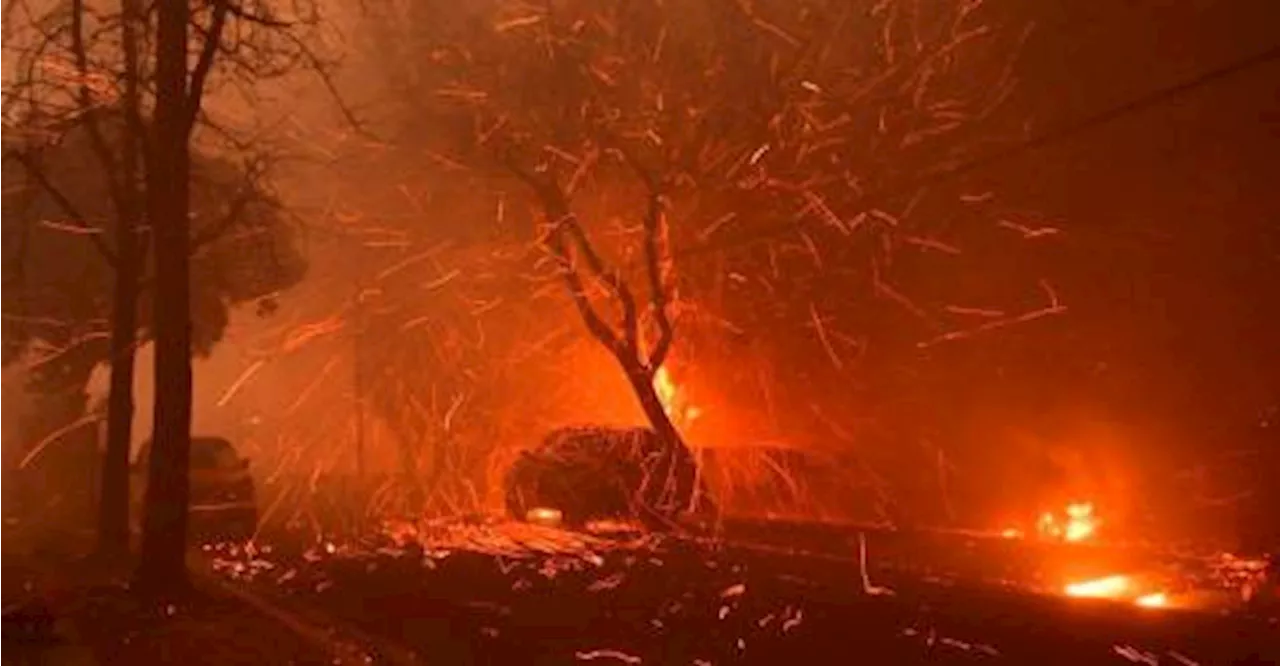 Wildfires Rage in Los Angeles, Claiming at Least Five Lives