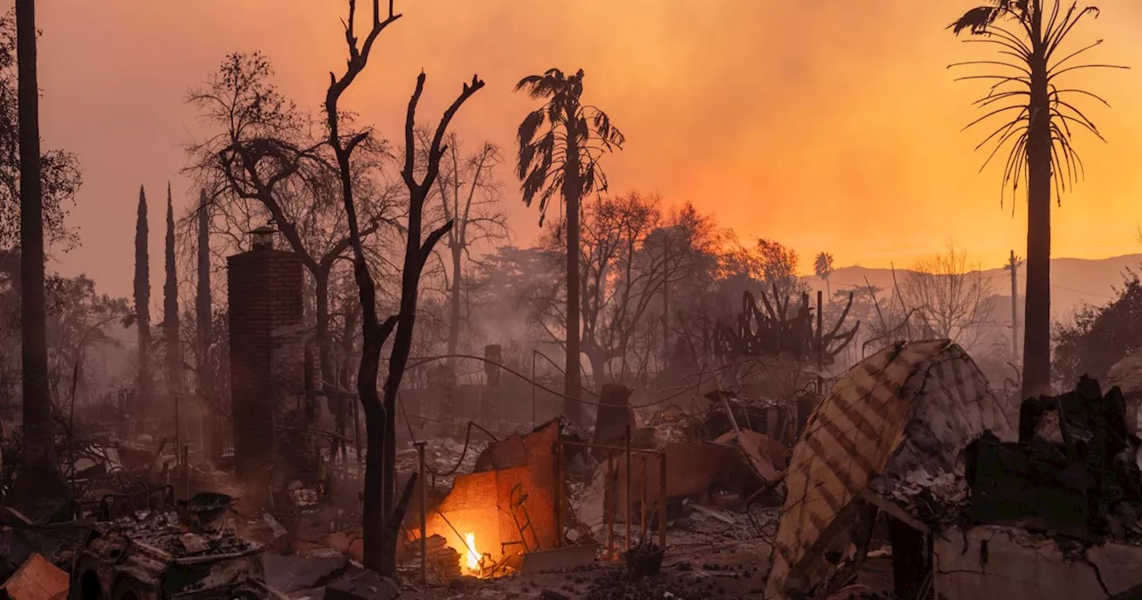 How Did The California Fires Start?