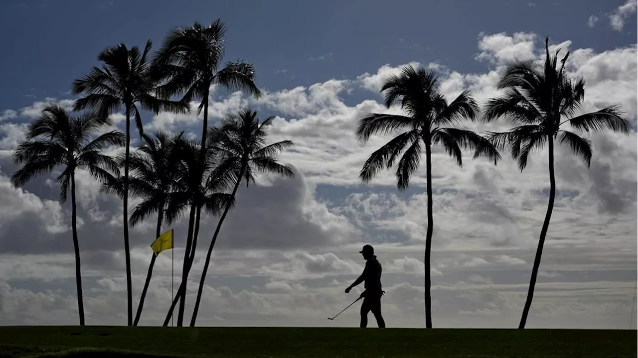 Sony Open starts race for fewer PGA Tour players to keep their jobs