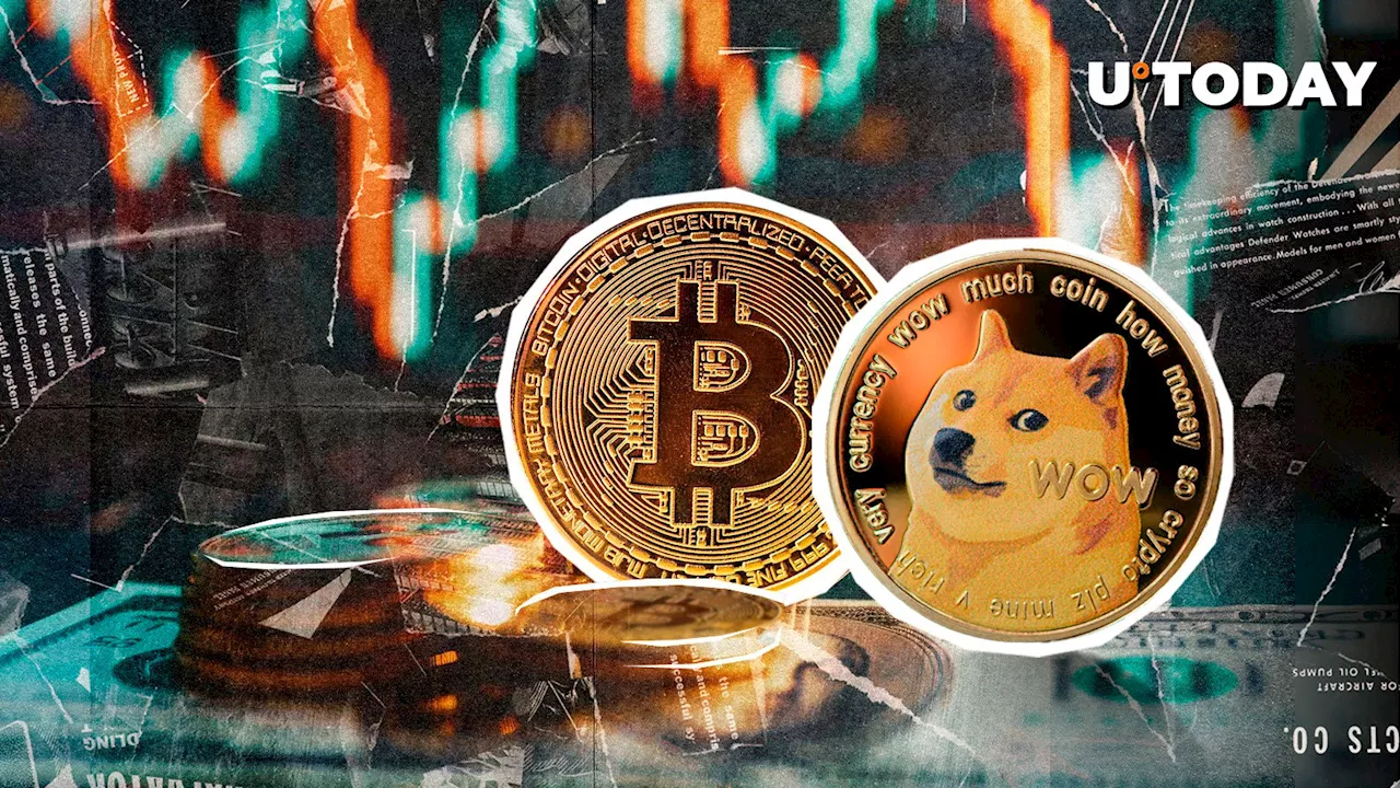 Bitcoin and Dogecoin Correlation Spotlighted by Bloomberg Analyst