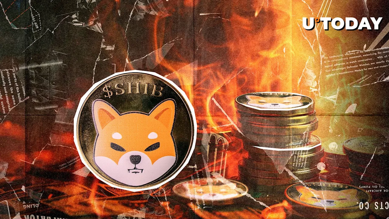 SHIB Burns Plummet 72%, Here's Immediate Price Response