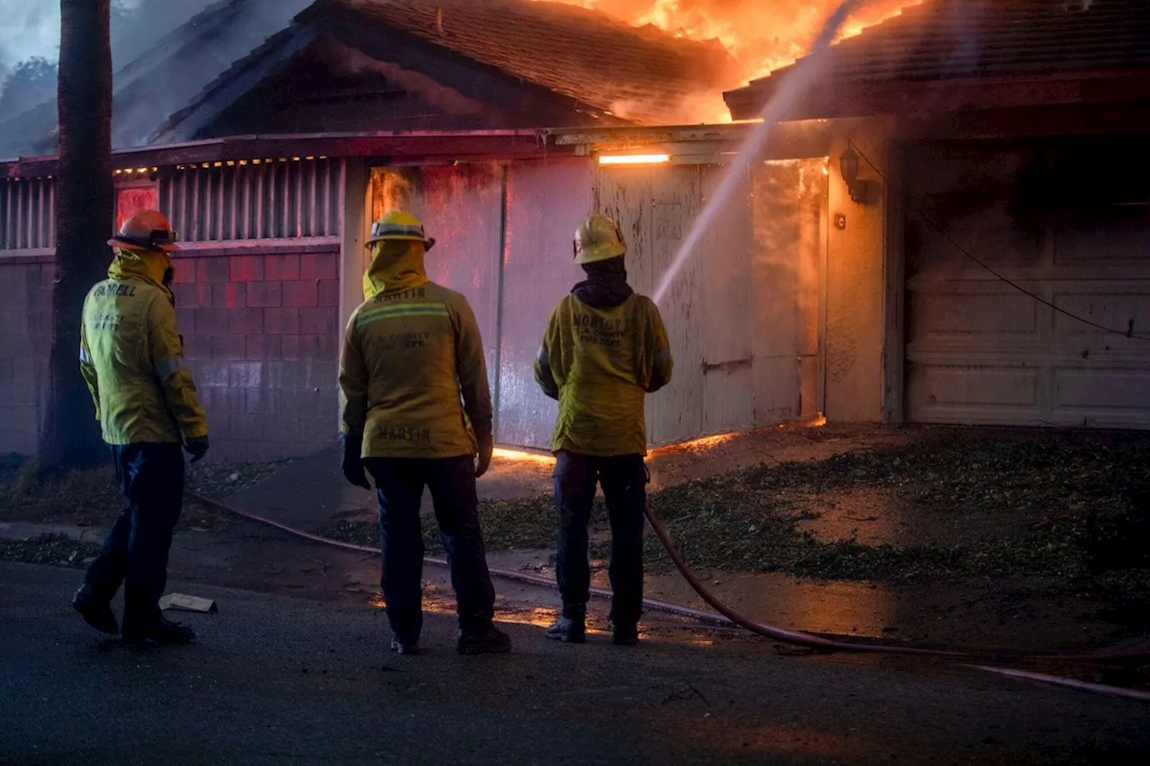 Entenda por que a Califórnia sofre com grandes incêndios no inverno