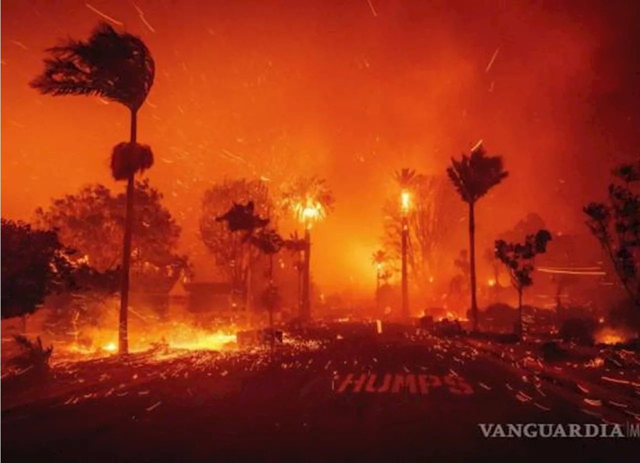 Incendios Devastadores en Los Ángeles: Cinco Fallecidos y Miles de Estructuras Destruidas