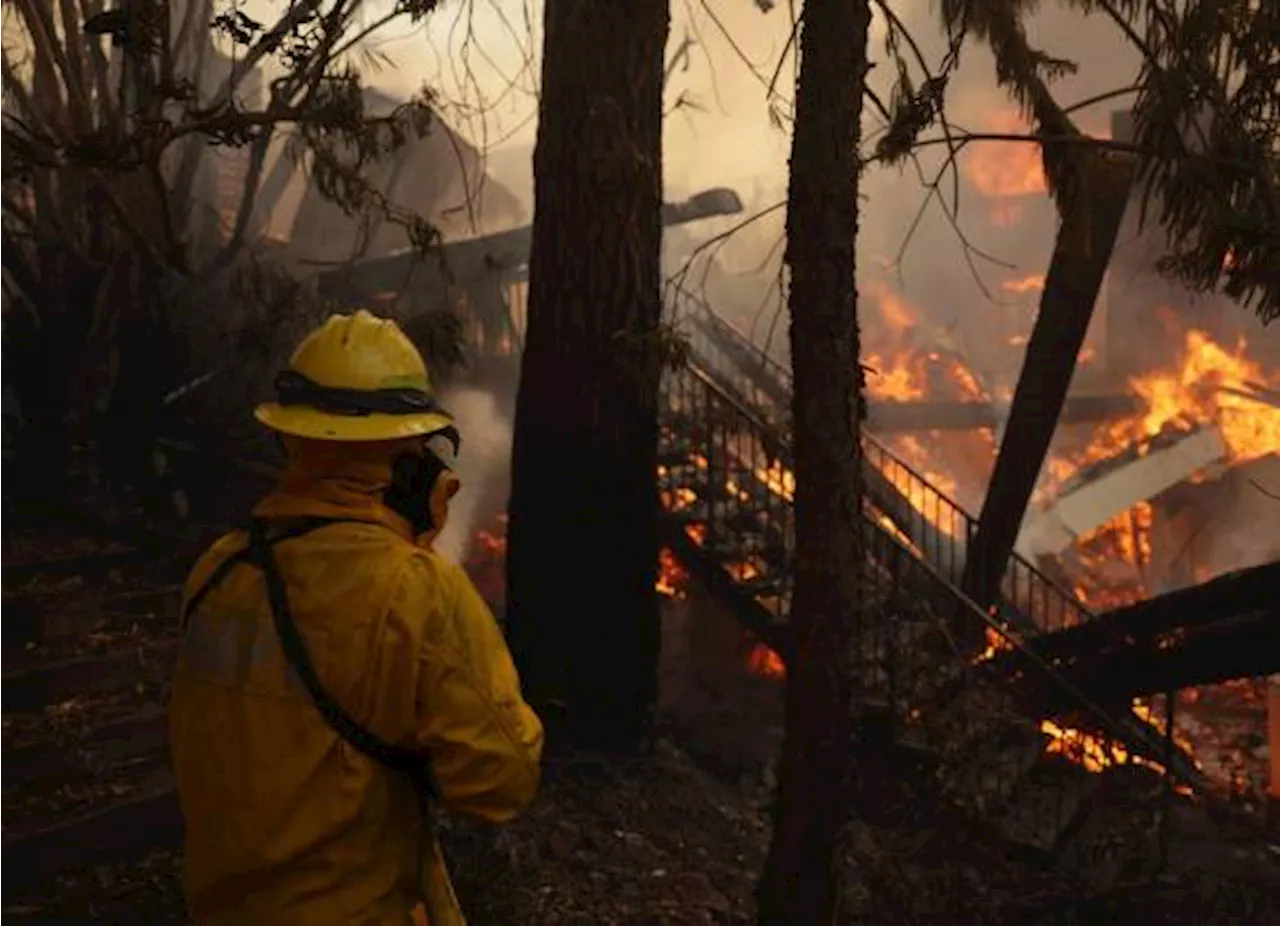 Incendios en Los Ángeles: Trump culpa a Gobernador de California por devastación