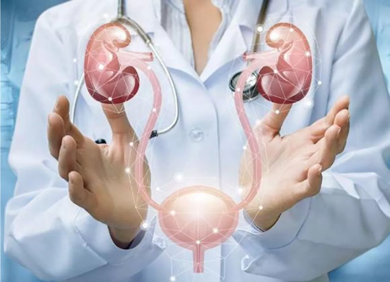 La importancia de la revisión médica anual para una salud renal óptima