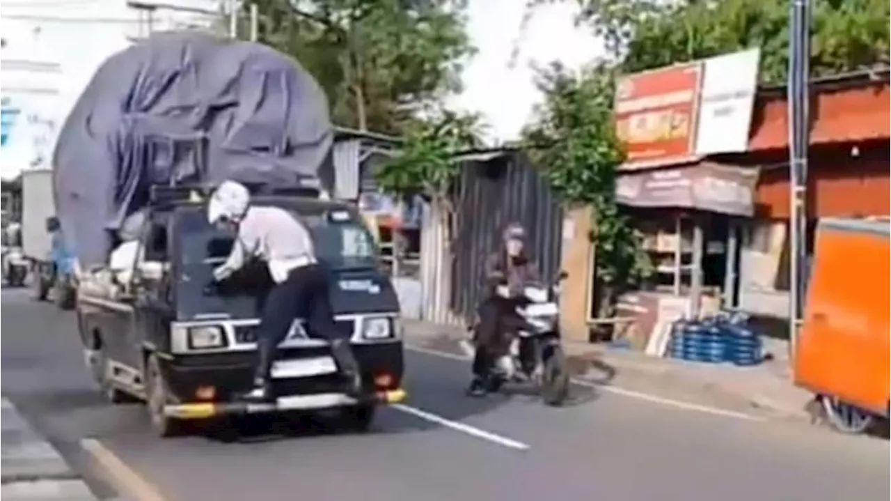 Petugas Dishub Dibawa Kabur Sopir Mobil Pikap, Aksi Nekat Viral