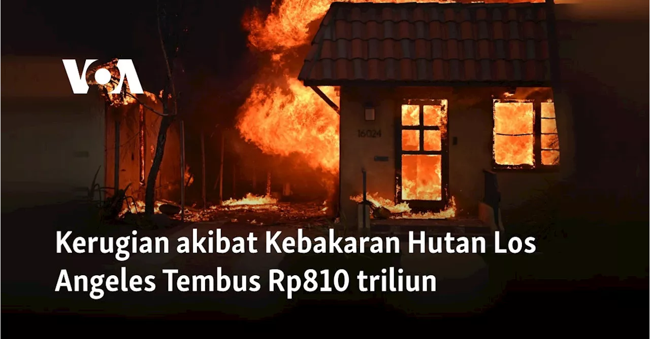 Kerugian akibat Kebakaran Hutan Los Angeles Tembus Rp810 triliun