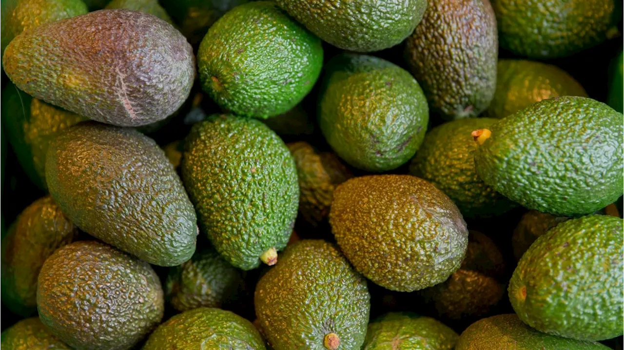 So wählt ihr die perfekte Avocado im Supermarkt