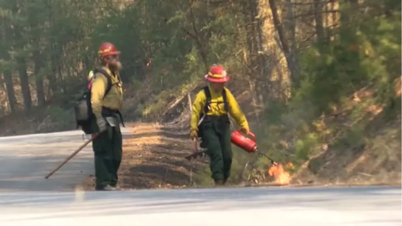 Prescribed Burn Near Alachua County Could Impact US Highway 441