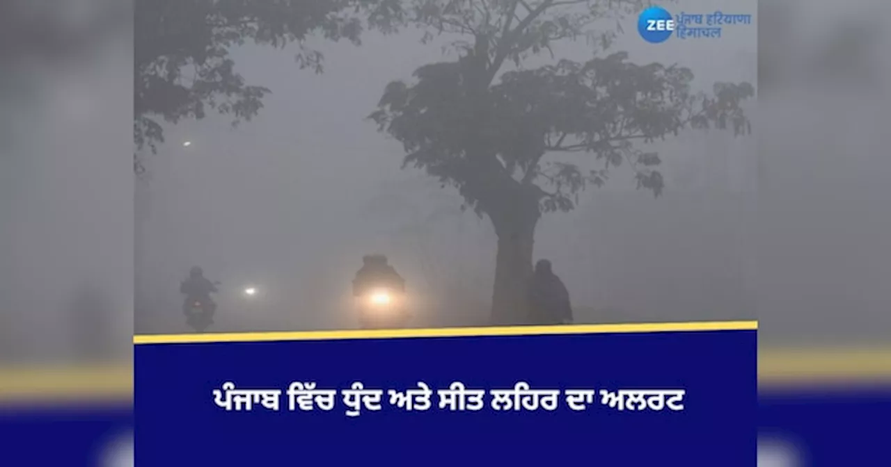 ਪੰਜਾਬ ਮੌਸਮ: ਕੜਾਕੇ ਠੰਡ ਅਤੇ ਸੰਘਣੀ ਧੁੰਦ - 12 ਜਨਵਰੀ ਤੱਕ ਮੀਂਹ ਦੀ ਯੋਗਤਾ