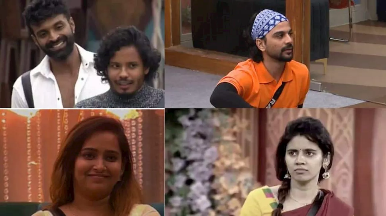 Bigg Boss 8: Title Winner Prediction - Ex-contestants Spill the Tea!