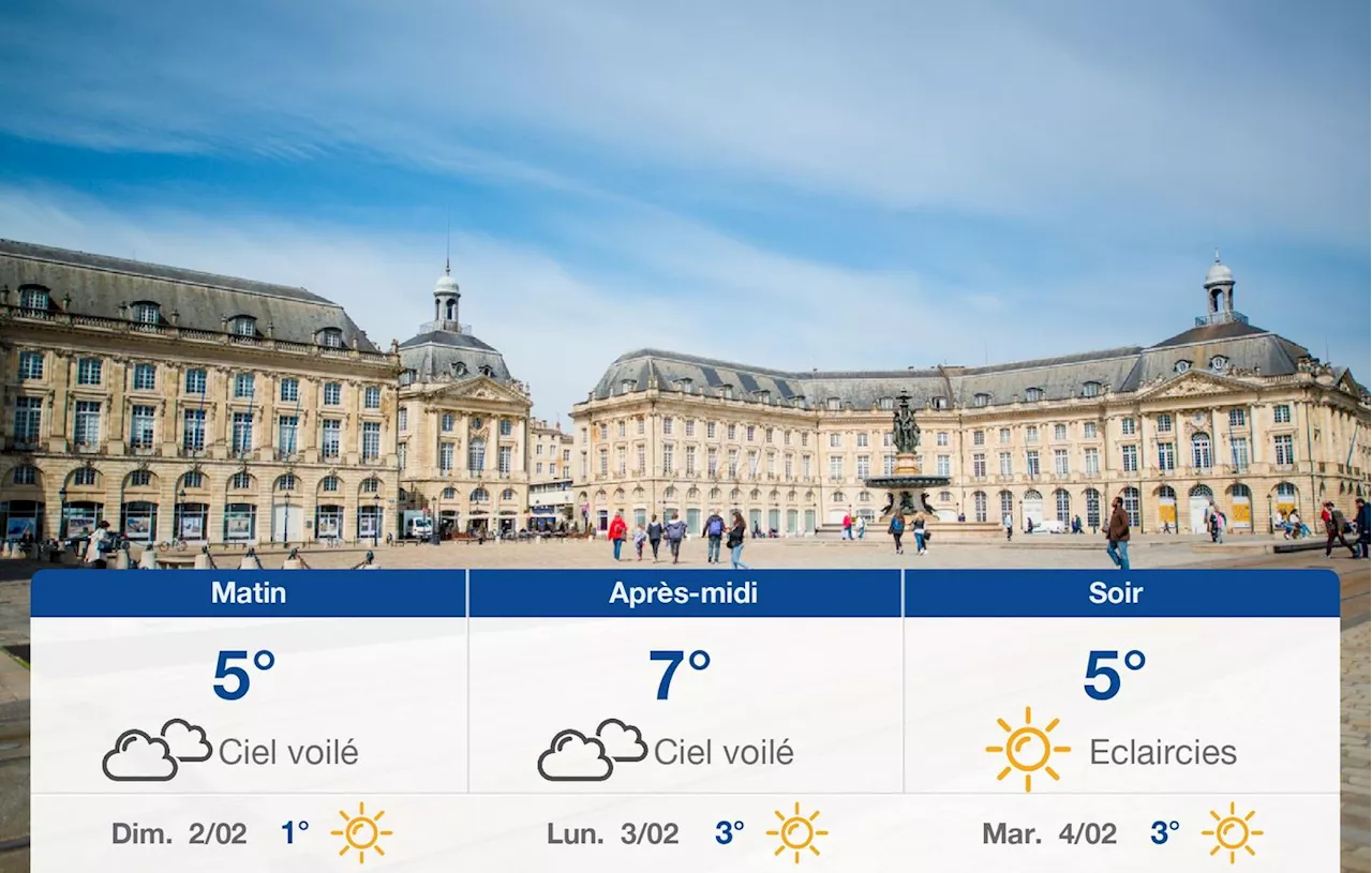 Météo Bordeaux: prévisions du samedi 1 février 2025