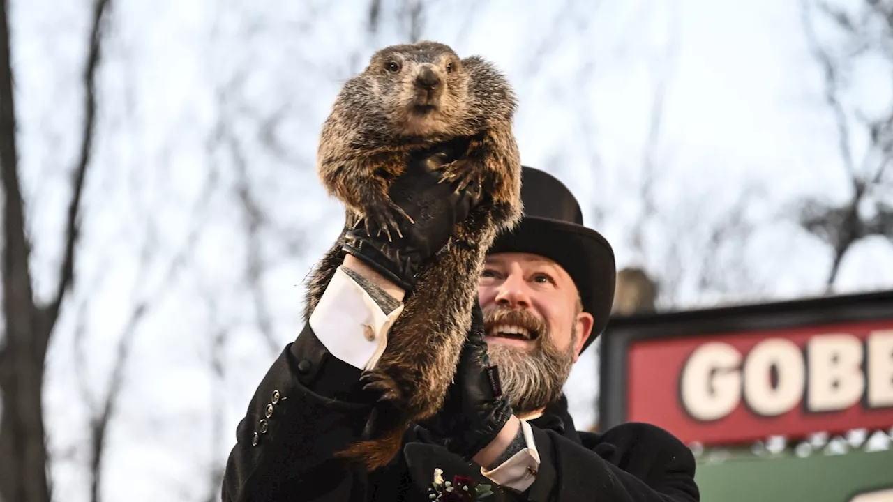 Punxsutawney Phil to mark 1st Groundhog Day as a father