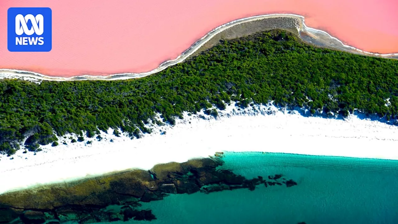 WA's Lake Hillier loses iconic pink colour, but there is strong hope for its recovery