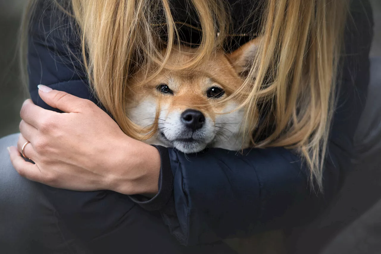 Avoir un chien peut changer votre santé (et votre quotidien), mais attention aux mauvaises surprises