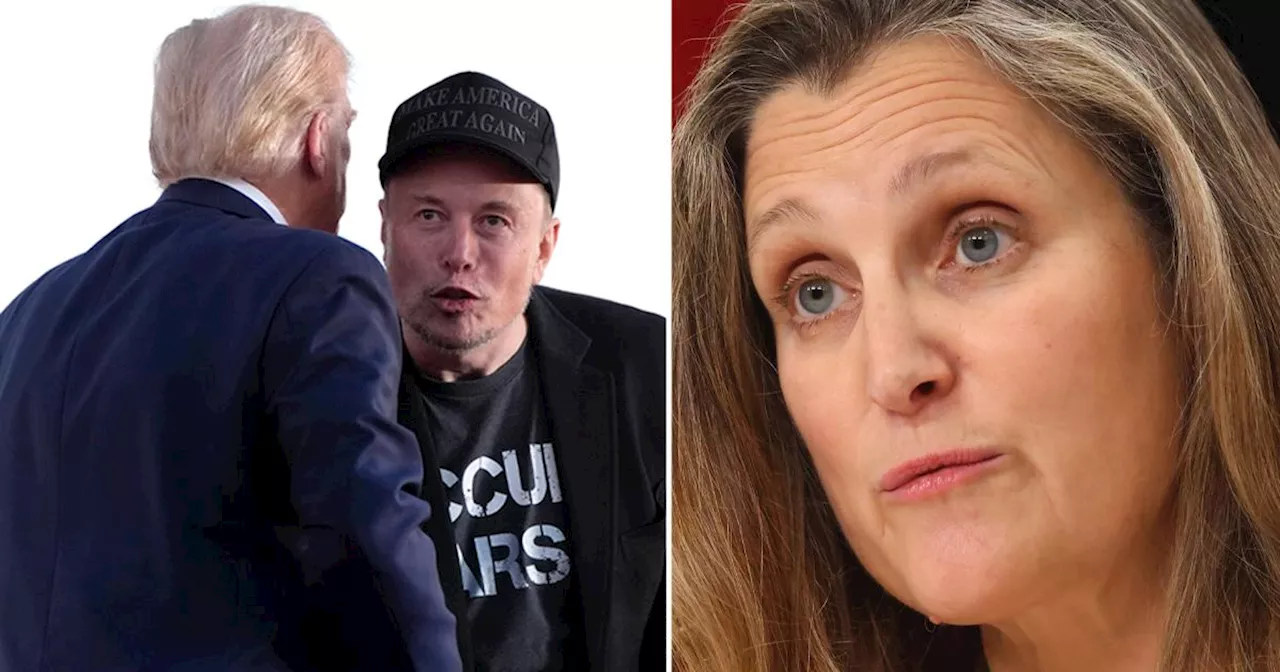 Svaret till Trump: Slå mot spriten och Elon Musk