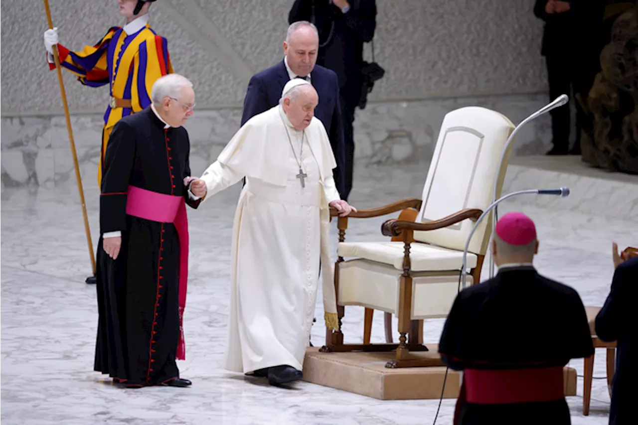 Papa Francesco durante l'udienza giubilare