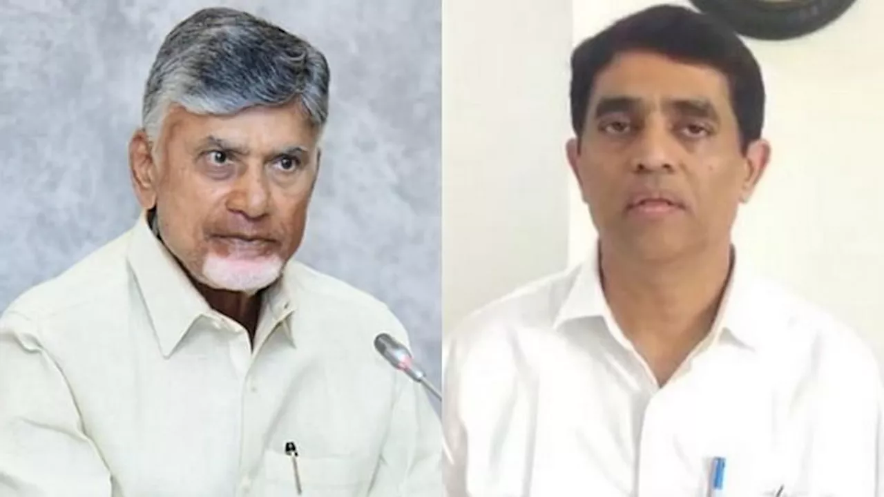 TDP vs YSRCP: 'CM नायडू बजट में आंध्र को उचित हिस्सा नहीं दिला सके'; पूर्व सीएम जगन खेमे के नेता ने कसा तंज