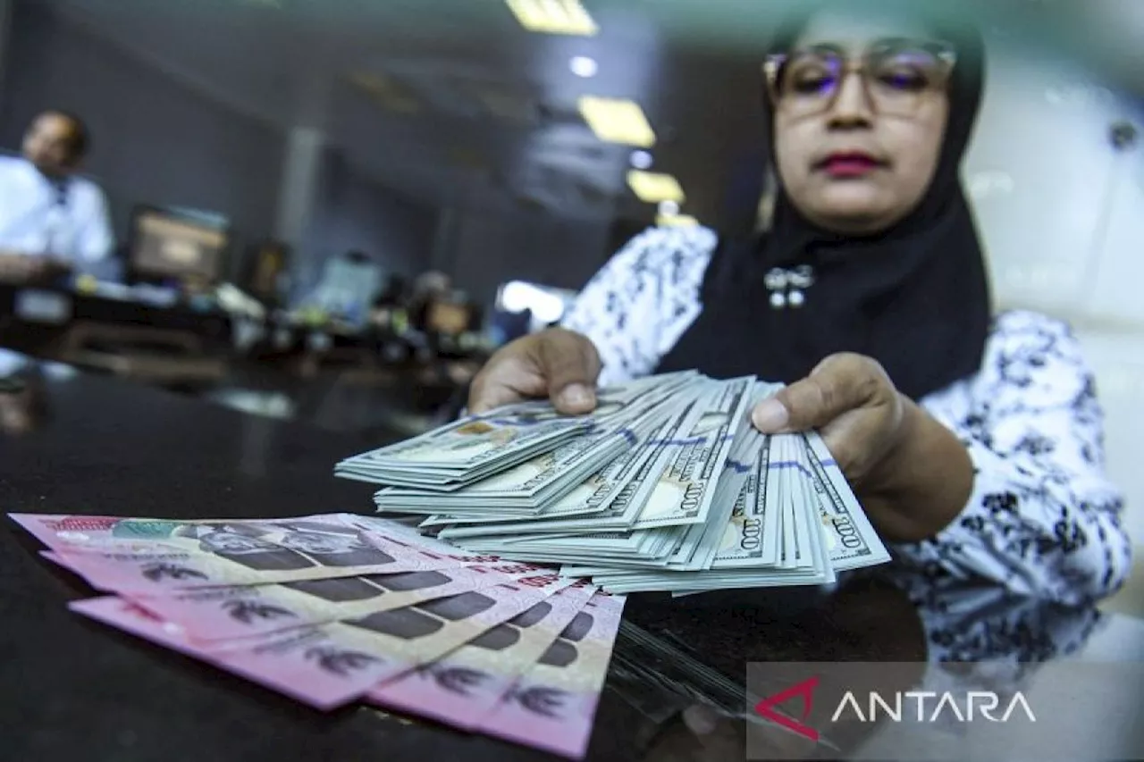 Google Akui Kesalahan Informasi Nilai Tukar Rupiah ke Dolar