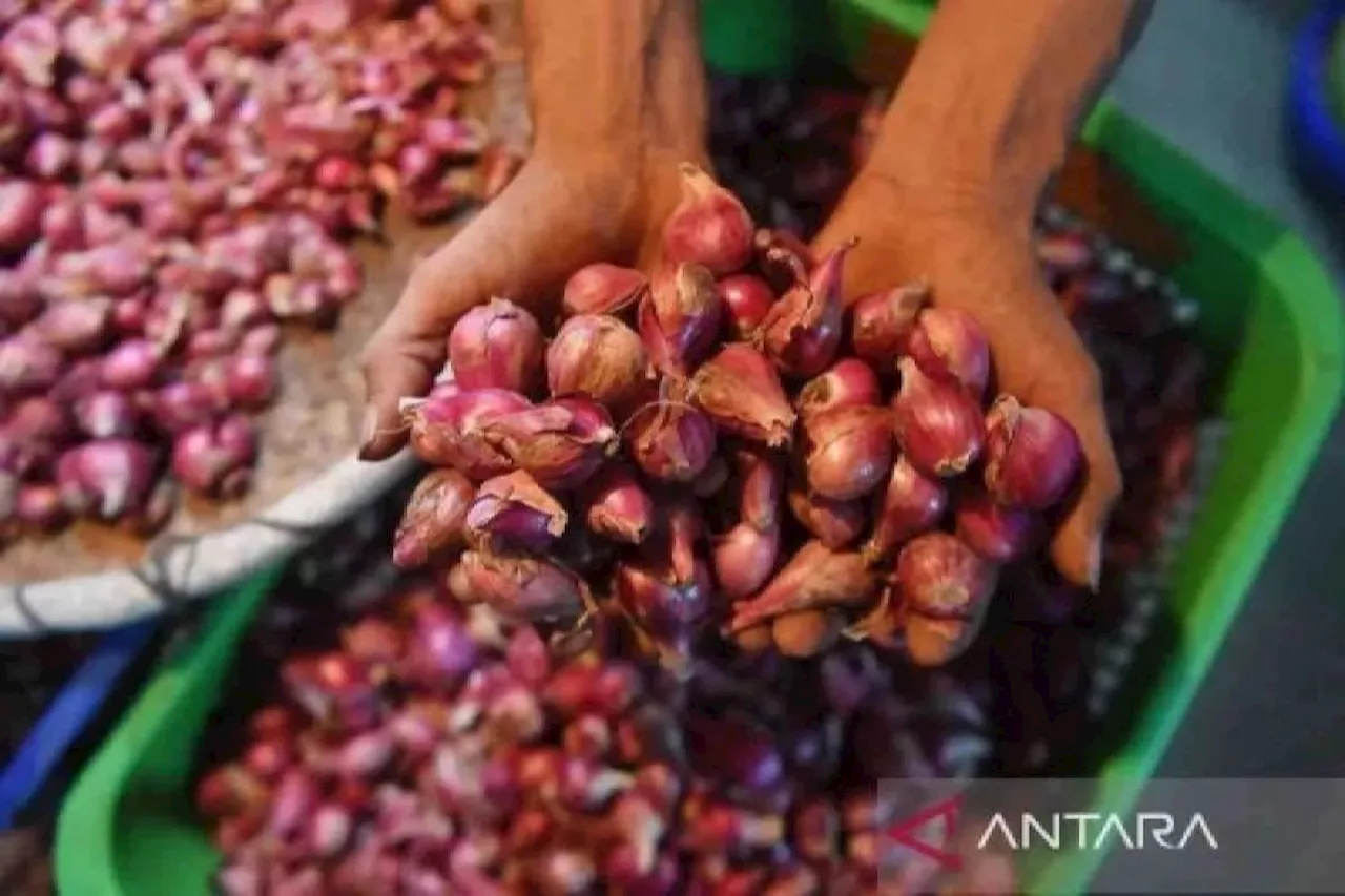 Harga Komoditas Pangan Mencatat Perubahan