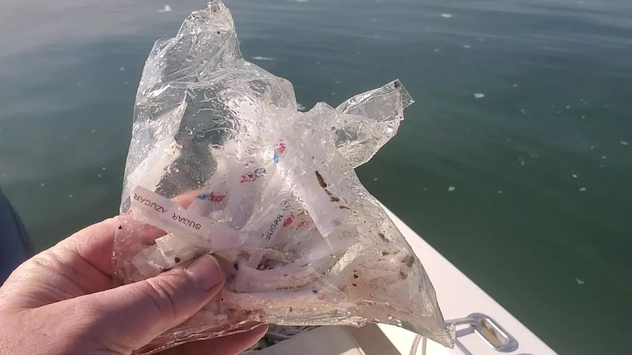 Airline seat parts and sugar packets among debris recovered by boater on Potomac after midair collision