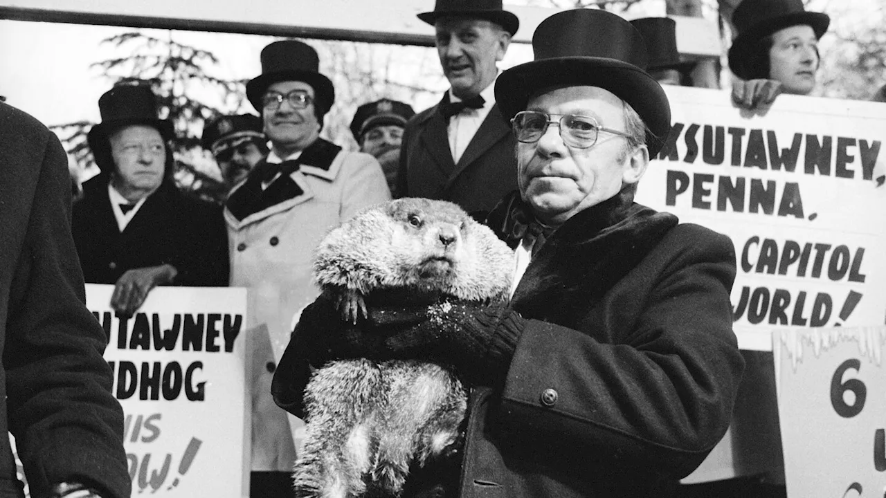 Beneath the surface, Groundhog Day's deep roots predate Punxsutawney Phil