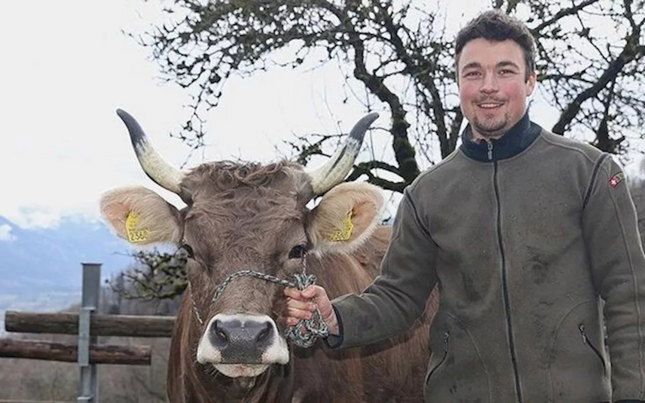 Hannes Ackermann züchtet robustes Vieh und erzielt eine hohe Wertschöpfung