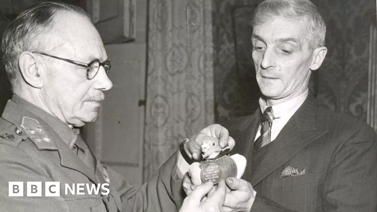 WWII Hero Homing Pigeon's Medal Sells for £30,000