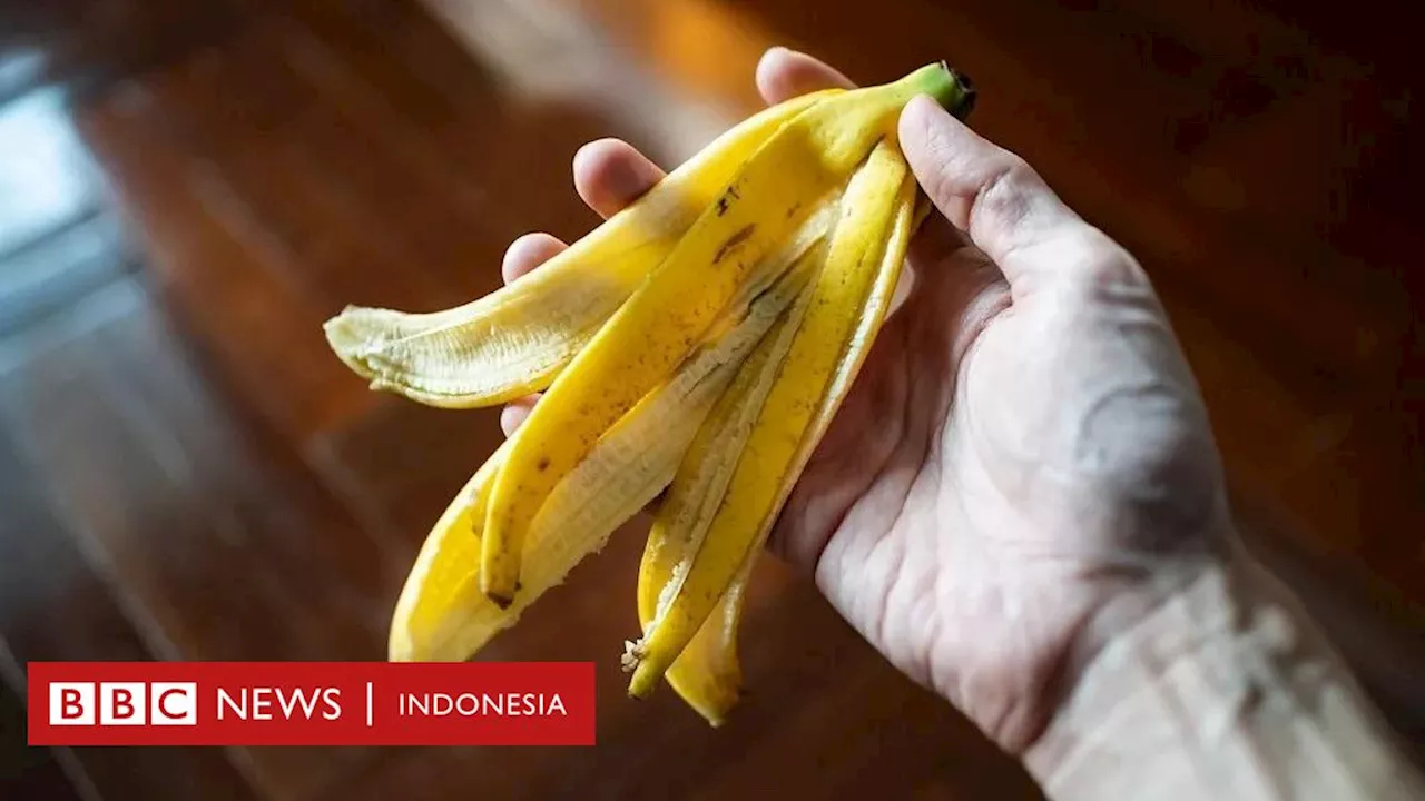 Kesehatan: Makan buah jangan buang kulitnya – Lima cara memanfaatkan kulit buah dan sayur