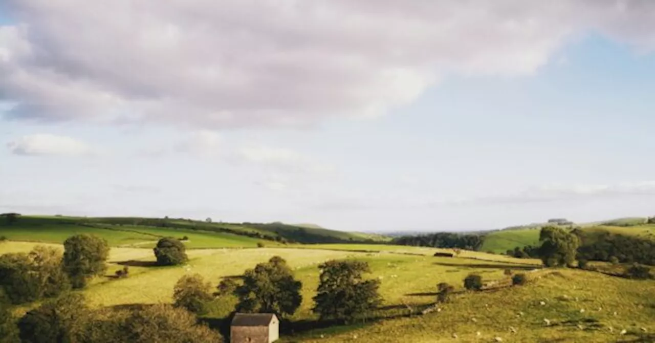 UK Government Plans to 'Rewild' Nearly a Tenth of Farmland by 2050