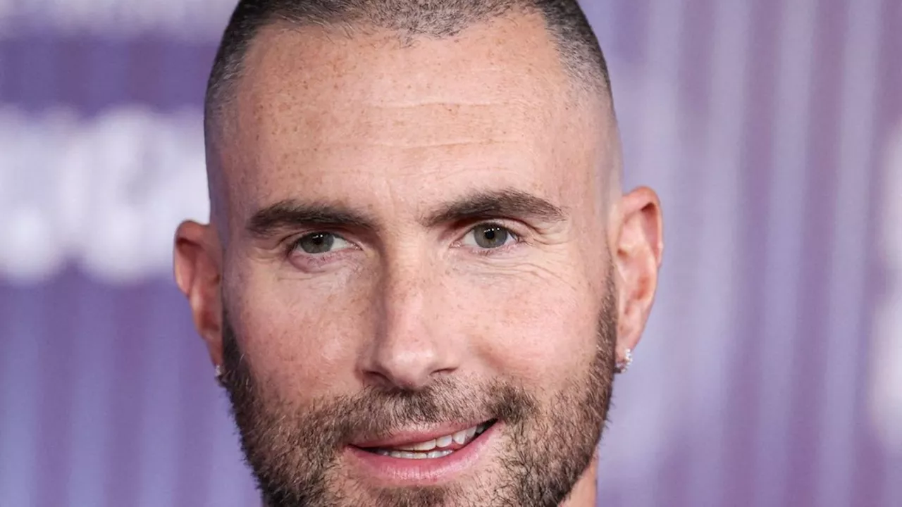 Adam Levine: Seine Kinder sind seine größten Fans