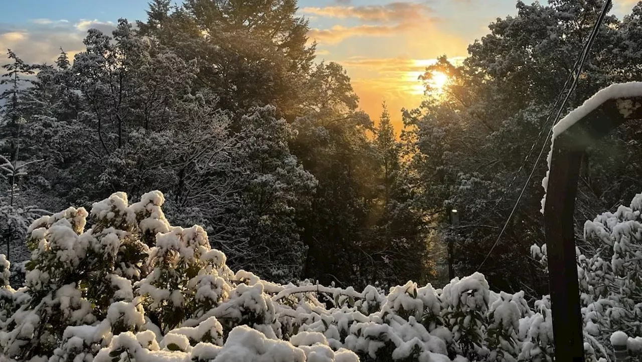 Snow and Reduced Visibility Expected in Parts of British Columbia