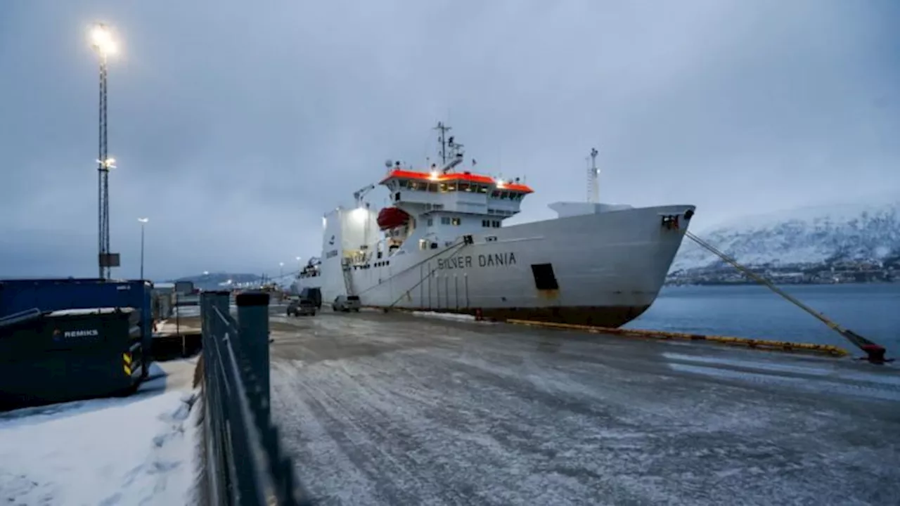 Barco noruego liberado tras sospechas de daños a cable submarino