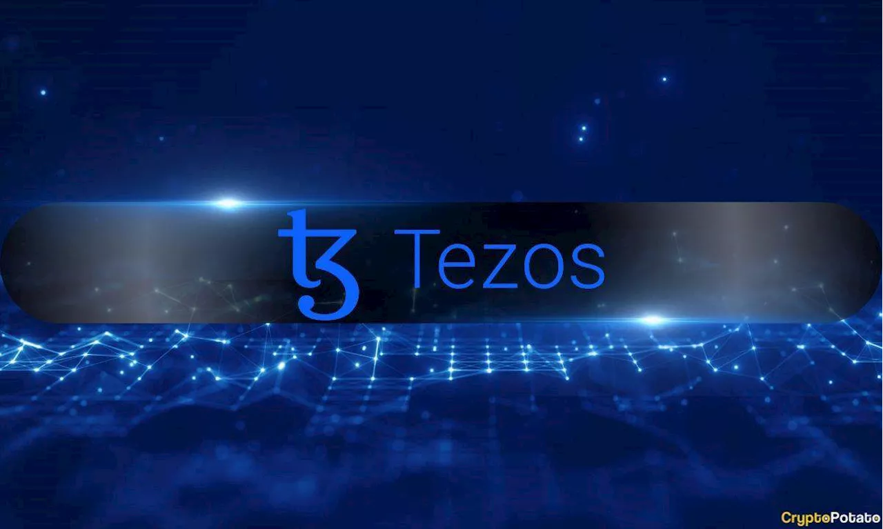 Tezos Sees Growth in User Base and NFT Activity Despite Decline in Overall Network Activity
