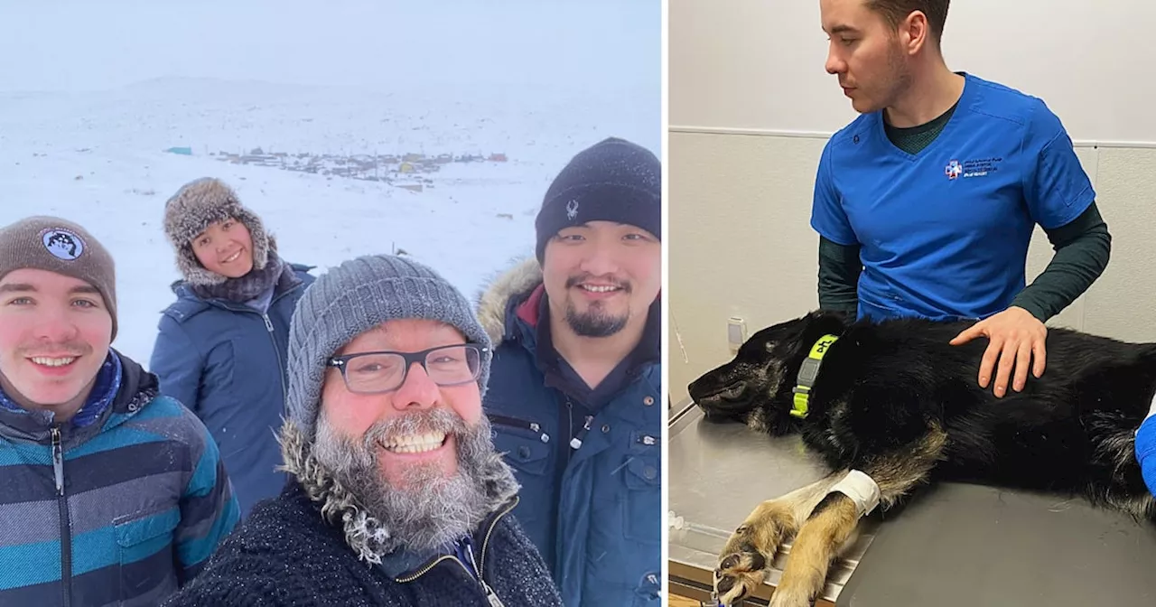 ‘It’s why we do what we do’: Toronto-area vet volunteers his services in Iqaluit